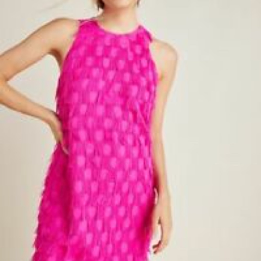 Anthropologie Roxie Pink Textured Shift Dress